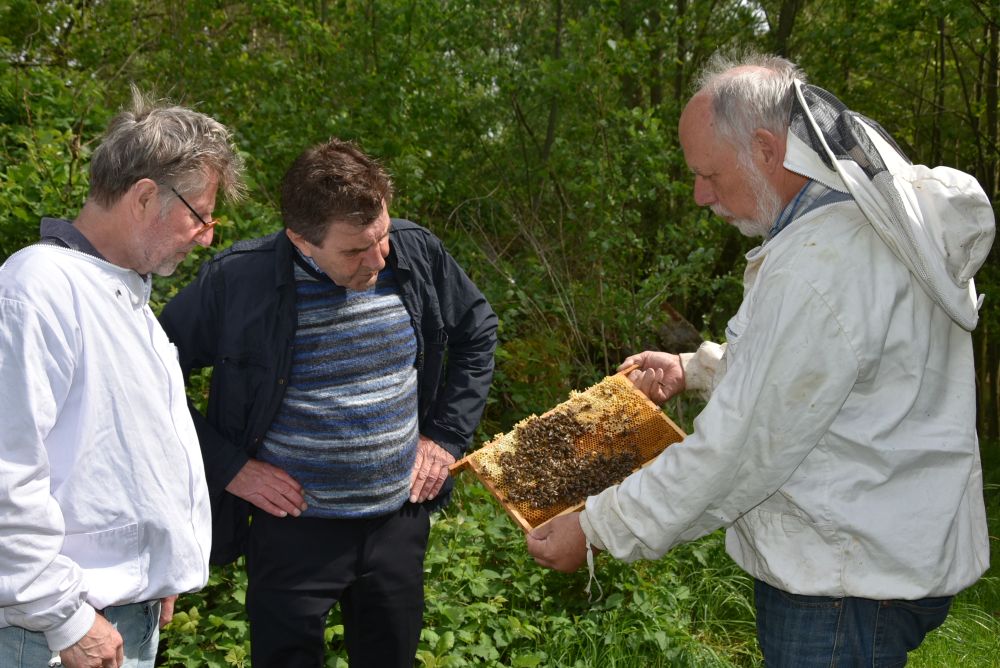 Thomas Freitag Imker cursus Den Bosch Brabant